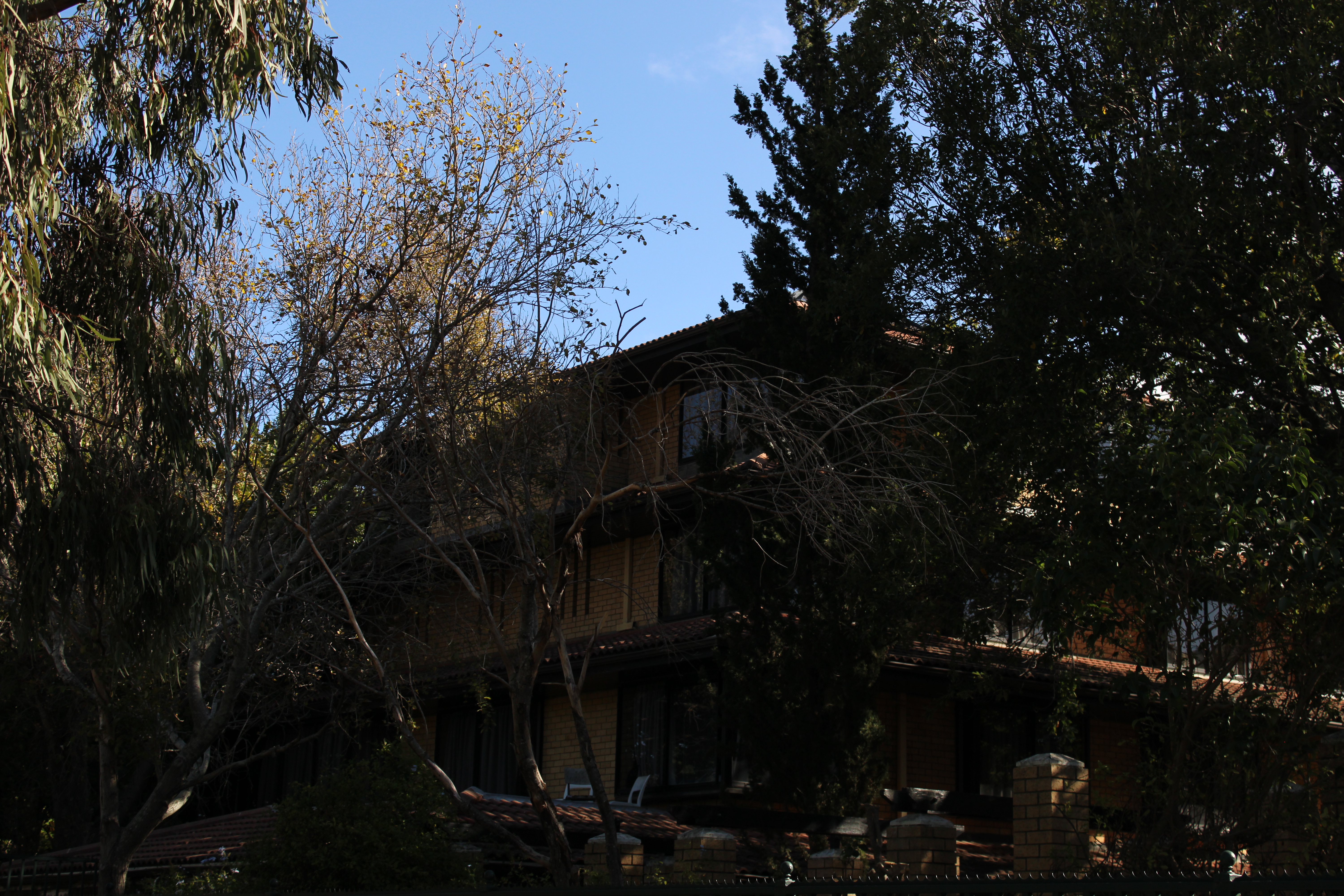 Sight 1